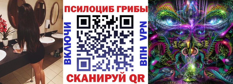 блэк спрут сайт  Выборг  Псилоцибиновые грибы Magic Shrooms 